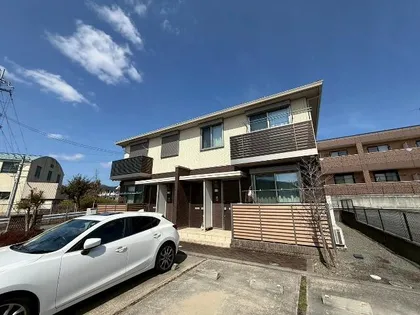 アリスティオAの画像