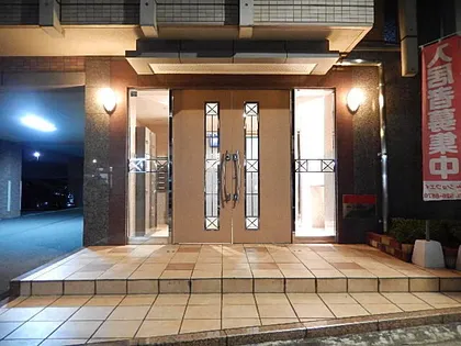 サンフラワーの画像