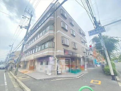 ハイネスト玉櫛の画像