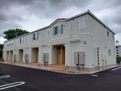 さざんかの画像