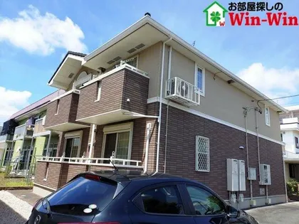 パトラッシュの画像