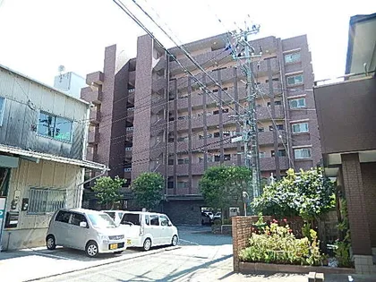 オーパス ワンの画像