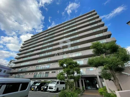 大阪府大阪市城東区鴫野西3丁目【マンション】の外観
