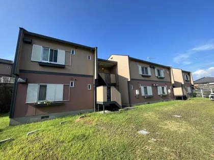 パレコスモス Aの画像