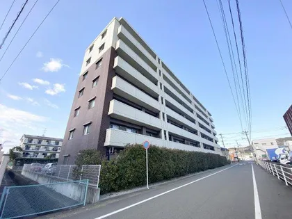 カラコレスⅤの画像