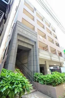 ピュアドームグラース天神【701号室】の外観