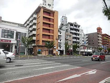 ステラ向野の画像