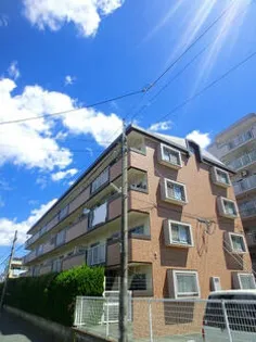 コーネル井尻の画像