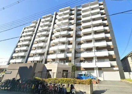 ピカソ平野の画像