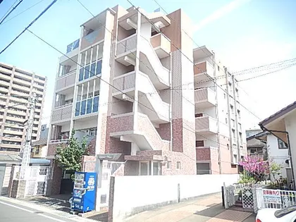 シャンボール大楠の画像