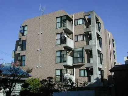 グレースホリベ5の画像