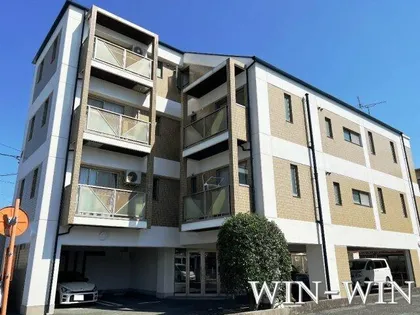 エバーグレイスの画像