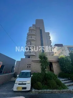 グランドールYの画像