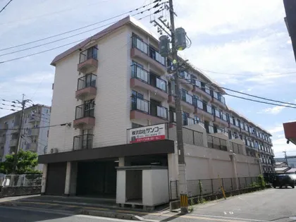 フォーサイト老司RENATUSの画像