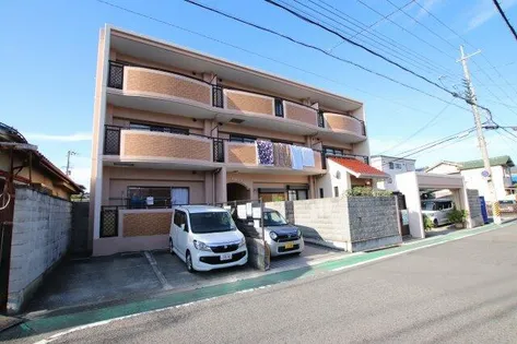 ホワイトロートスの画像