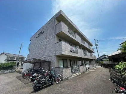 ミューズポカホンタスの画像