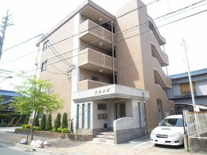 アラニⅡの画像