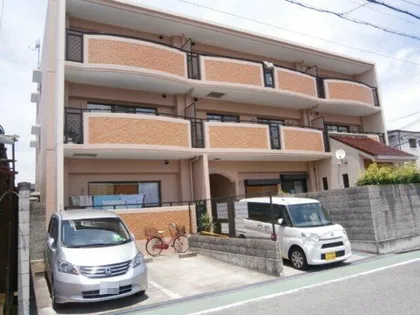 ホワイトロートスの画像