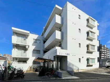 エリーナ高宮の画像