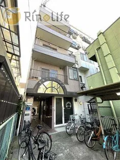 ブルージェつばきの画像