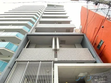 サザンクロスの画像