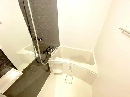 S-RESIDENCE難波大国町domina【4階】の風呂