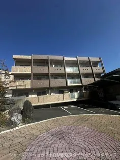 リトルフォレスト守恒の画像