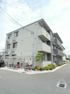ラフィーナの画像