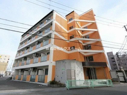 ドマー二の画像