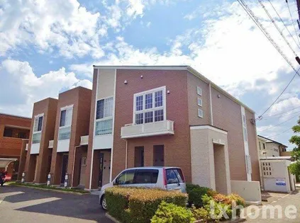 ウォーム要の画像