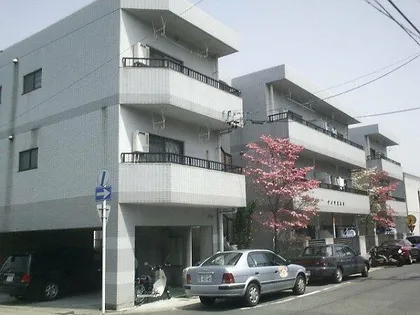 アイリス中平の画像