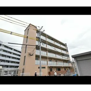 SOPHIA TOKUNAGAIIIの画像