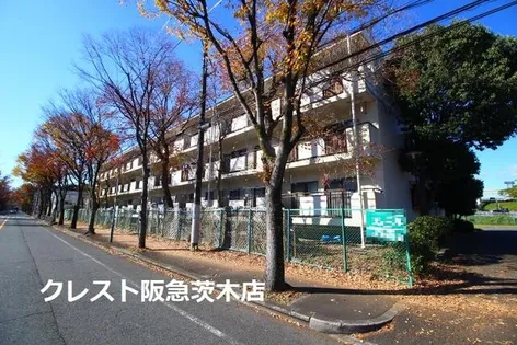 サンハイム杉林の画像