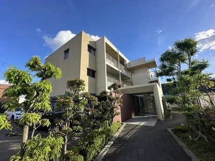 バレーロード辻子の画像