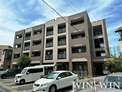 プリムローズの画像