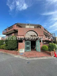 セントポーリアの画像