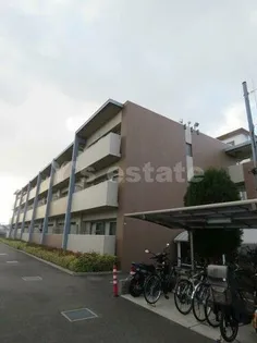 ソリエベーネの画像