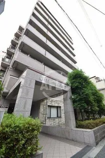 GATHERIA PACEの画像