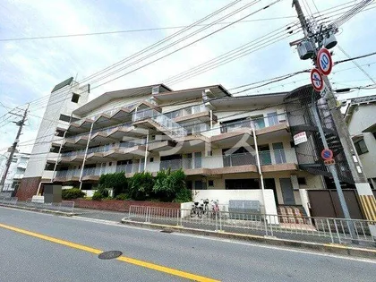 佐井寺ハイツの画像