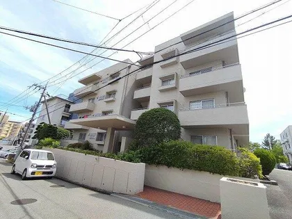 パインハイツの画像