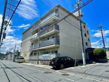 ドリーム松村の画像