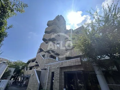 グレイス谷川の画像