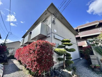 ベルリード ミキの画像