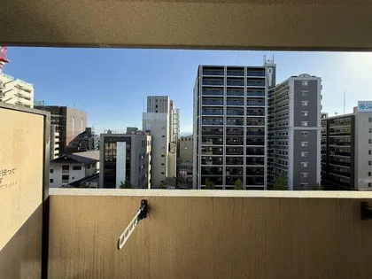 ラフィネス大濠パークアベニュー【8階】のその他画像