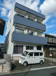 アルストロメリアの画像