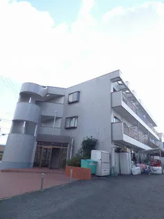 ドミール仲谷1号館の画像