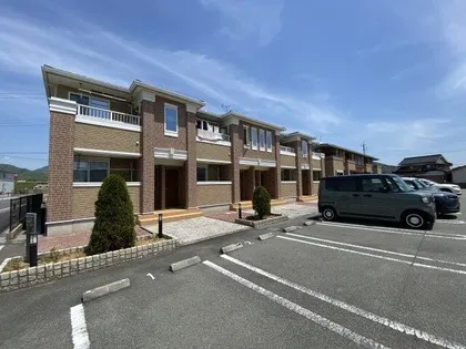 シンビジュウムAの画像