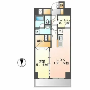 CLOVER泉【501号室】の間取り