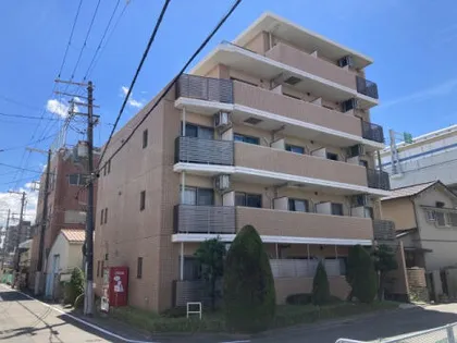 SEMPRE VITA甲子園の画像