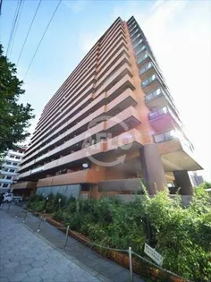 ライオンズシティ難波南【6階】の外観